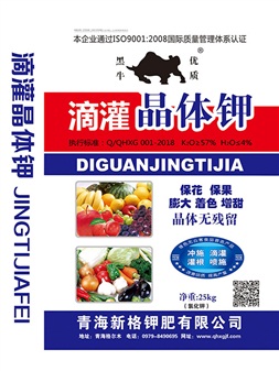榮譽資質